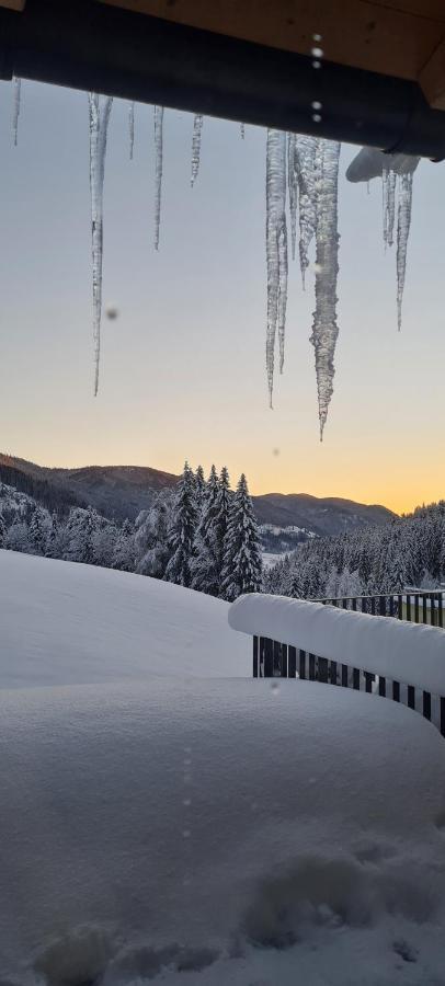 Penthouse Skyview Im Natur-Erlebnispark Bad Kleinkirchheim Patergassen Eksteriør bilde